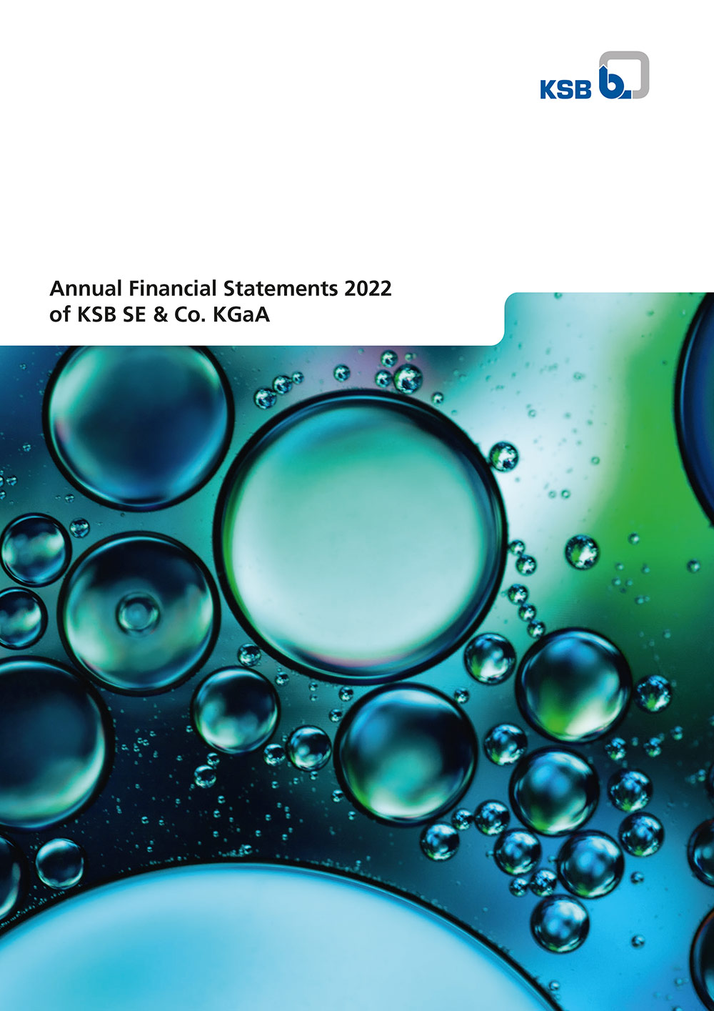KSB SE & Co. KG Annual Financial Statements 2022